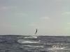 Yesterday's billfish action